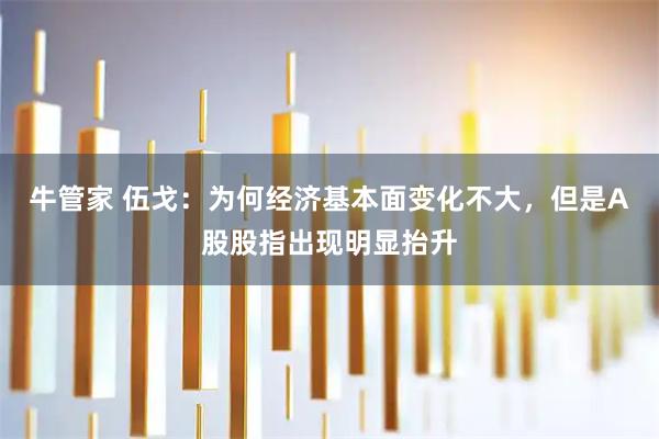 牛管家 伍戈：为何经济基本面变化不大，但是A股股指出现明显抬升