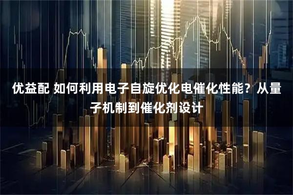 优益配 如何利用电子自旋优化电催化性能？从量子机制到催化剂设计