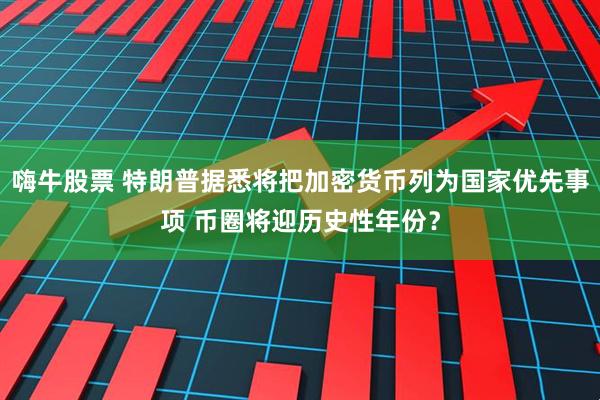嗨牛股票 特朗普据悉将把加密货币列为国家优先事项 币圈将迎历史性年份？