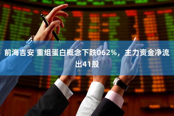 前海吉安 重组蛋白概念下跌062%，主力资金净流出41股
