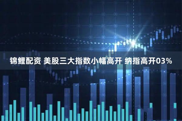 锦鲤配资 美股三大指数小幅高开 纳指高开03%