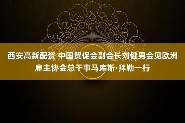 西安高新配资 中国贸促会副会长刘健男会见欧洲雇主协会总干事马库斯·拜勒一行